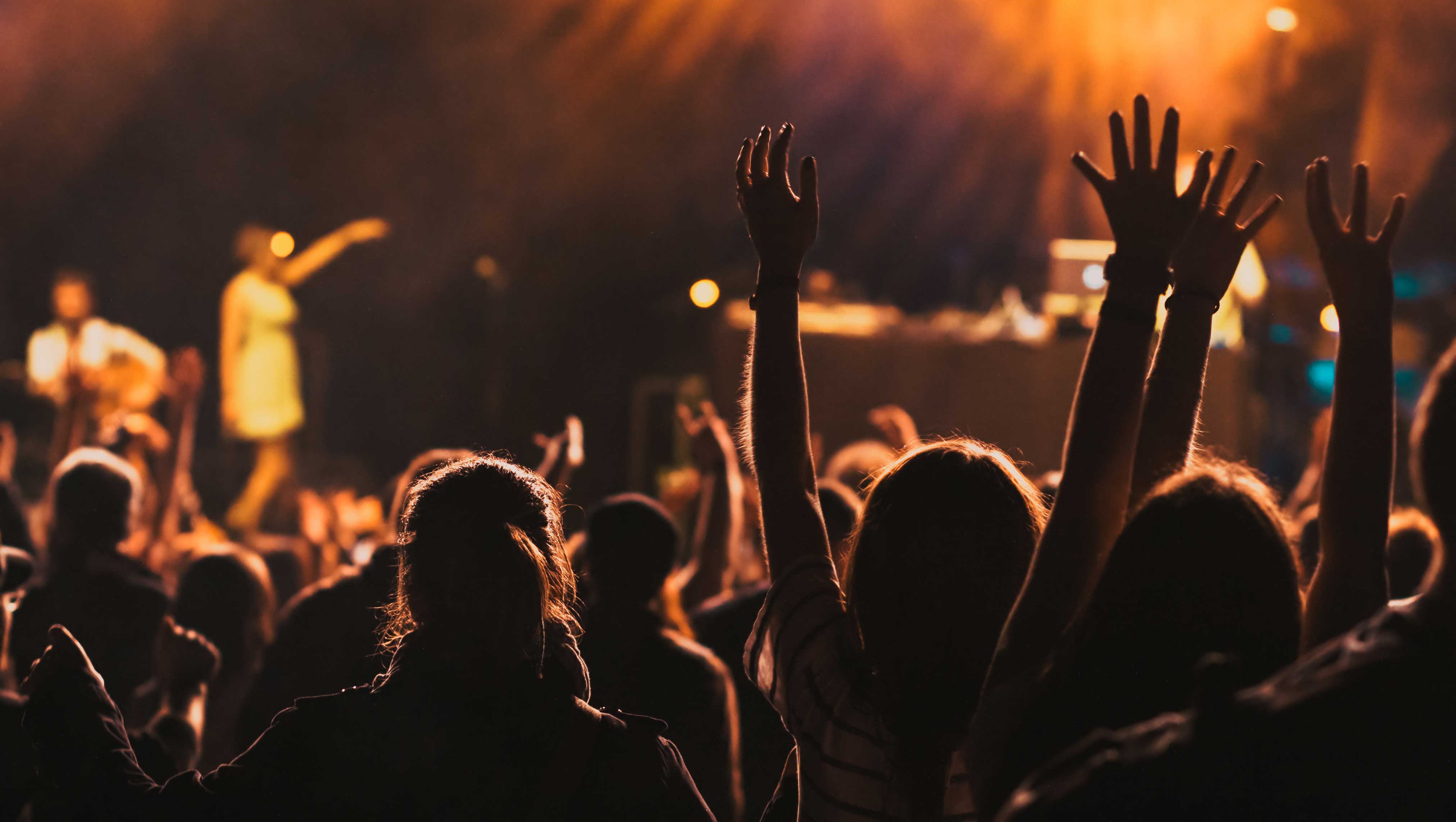 iew of a concert crowd