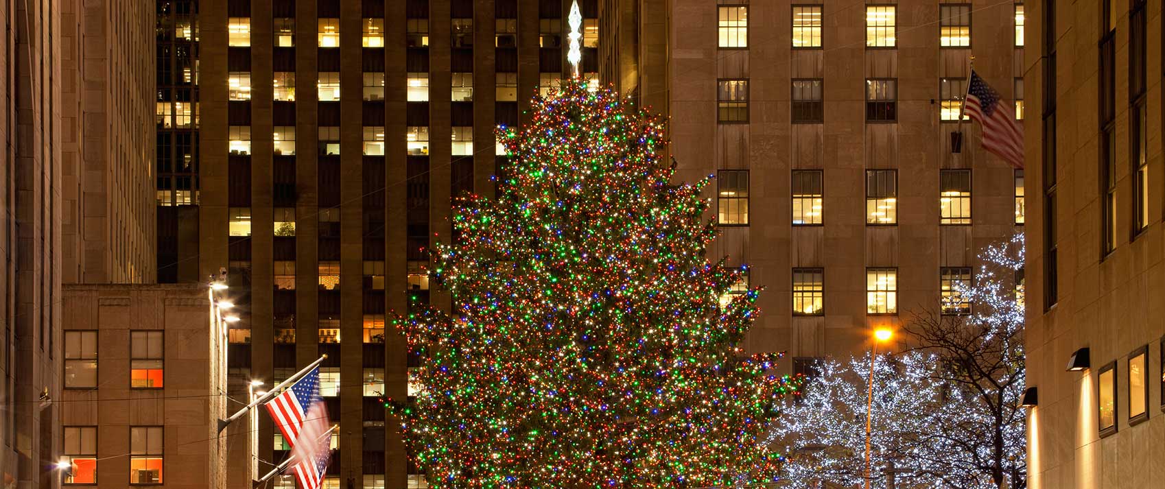 Holiday Tree in NYC